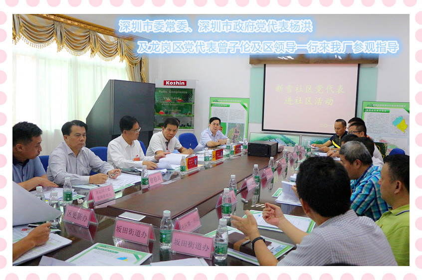 29,Sep 2015  The Shen Zhen Goverment leader visiting our company